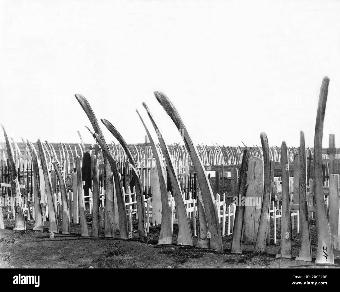 Alaska : c. 1920 Une clôture en os de baleine autour du lieu de sépulture indigène local. Banque D'Images