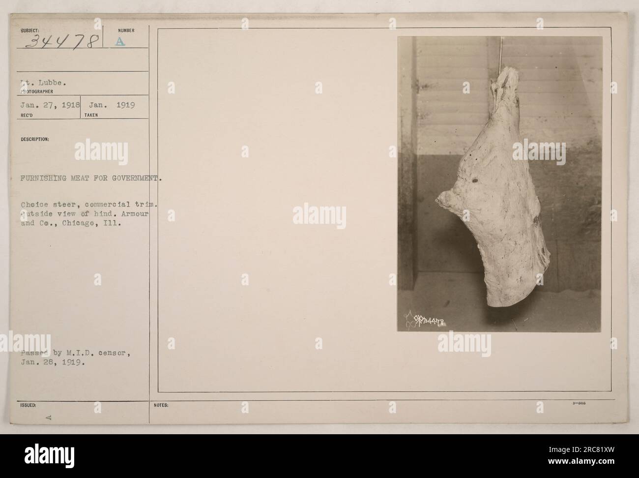 Des soldats américains de la première Guerre mondiale sont représentés en train de préparer de la viande pour le gouvernement. L'image représente une vue extérieure de l'arrière d'un volant de choix qui a été découpé commercialement. La photographie a été prise par le lieutenant Lubbe et reçue le 27 janvier 1918 et le 1919 janvier. Il a été adopté par le censeur du M.I.D. le 28 janvier 1919. La viande est transformée à Armour and Co. À Chicago, Illinois. Banque D'Images