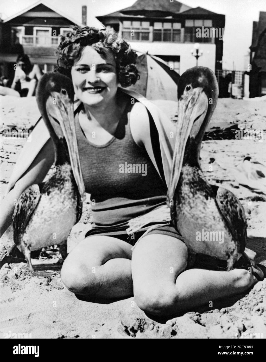 Venise, Californie : 18 février 1927 Une jeune femme sur la plage avec ses deux pélicans apprivoisés qui sont ses compagnons constants. Le suivre partout et monter sur le siège arrière de son auto. Banque D'Images