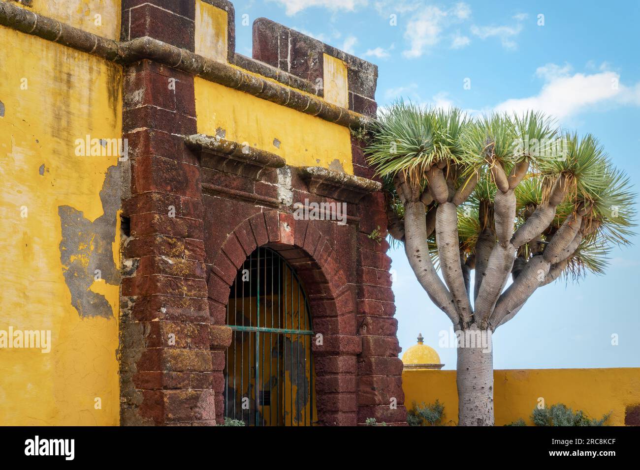 Sao Tiago fort, forteresse jaune colorée à Funchal, île de Madère au Portugal Banque D'Images