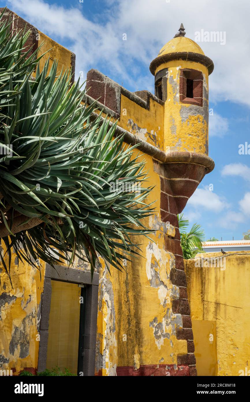 Sao Tiago fort, forteresse jaune colorée à Funchal, île de Madère au Portugal Banque D'Images