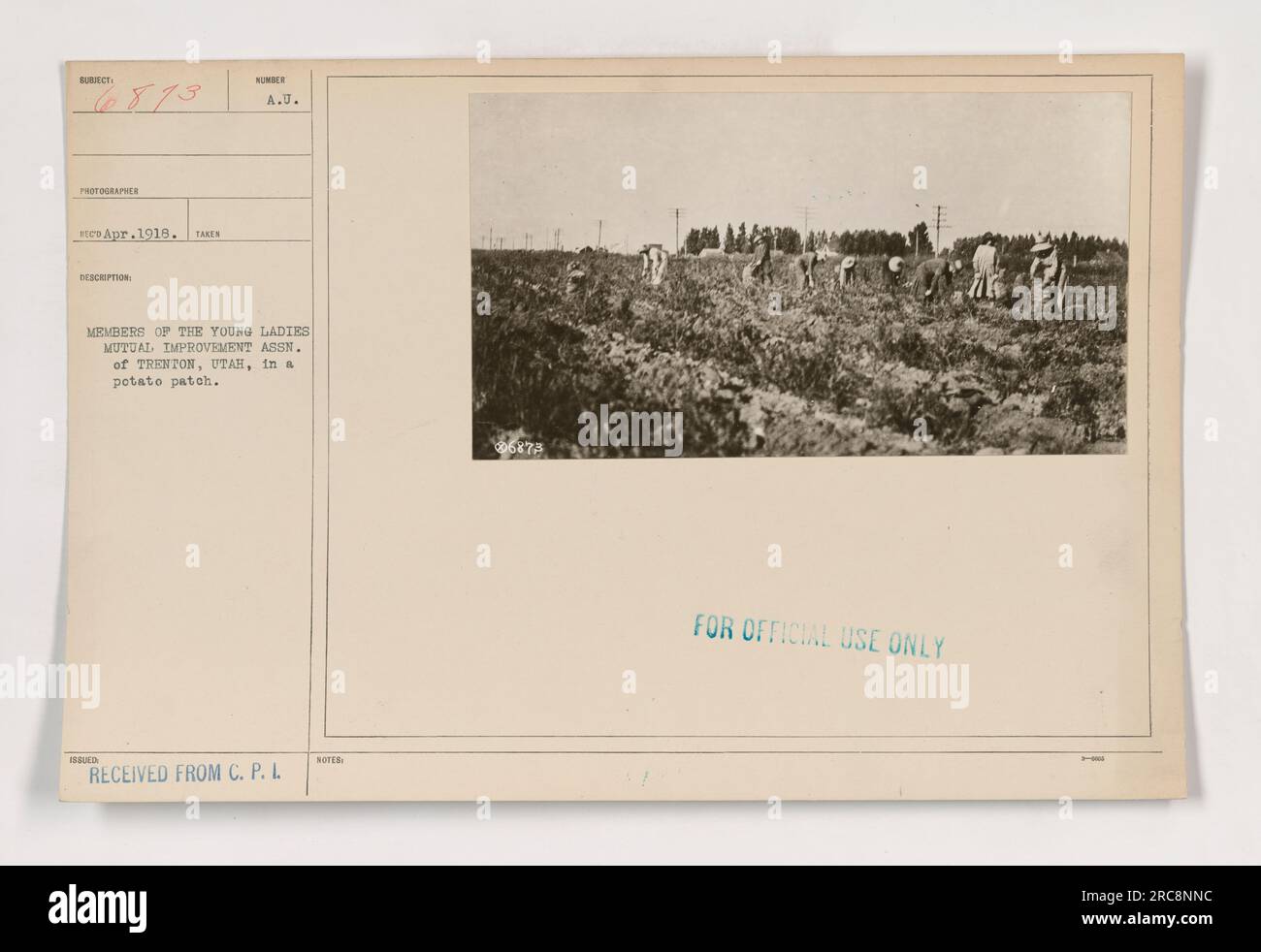 Des membres de la Young Ladies Mutual Improvement Association de Trenton, Utah, travaillent dans une parcelle de pommes de terre en avril 1918. Cette photographie, numérotée 111-SC-6873, a été prise par un photographe non identifié et reçue par C.P.L. L'image a été prise à l'origine pour un usage officiel. Banque D'Images