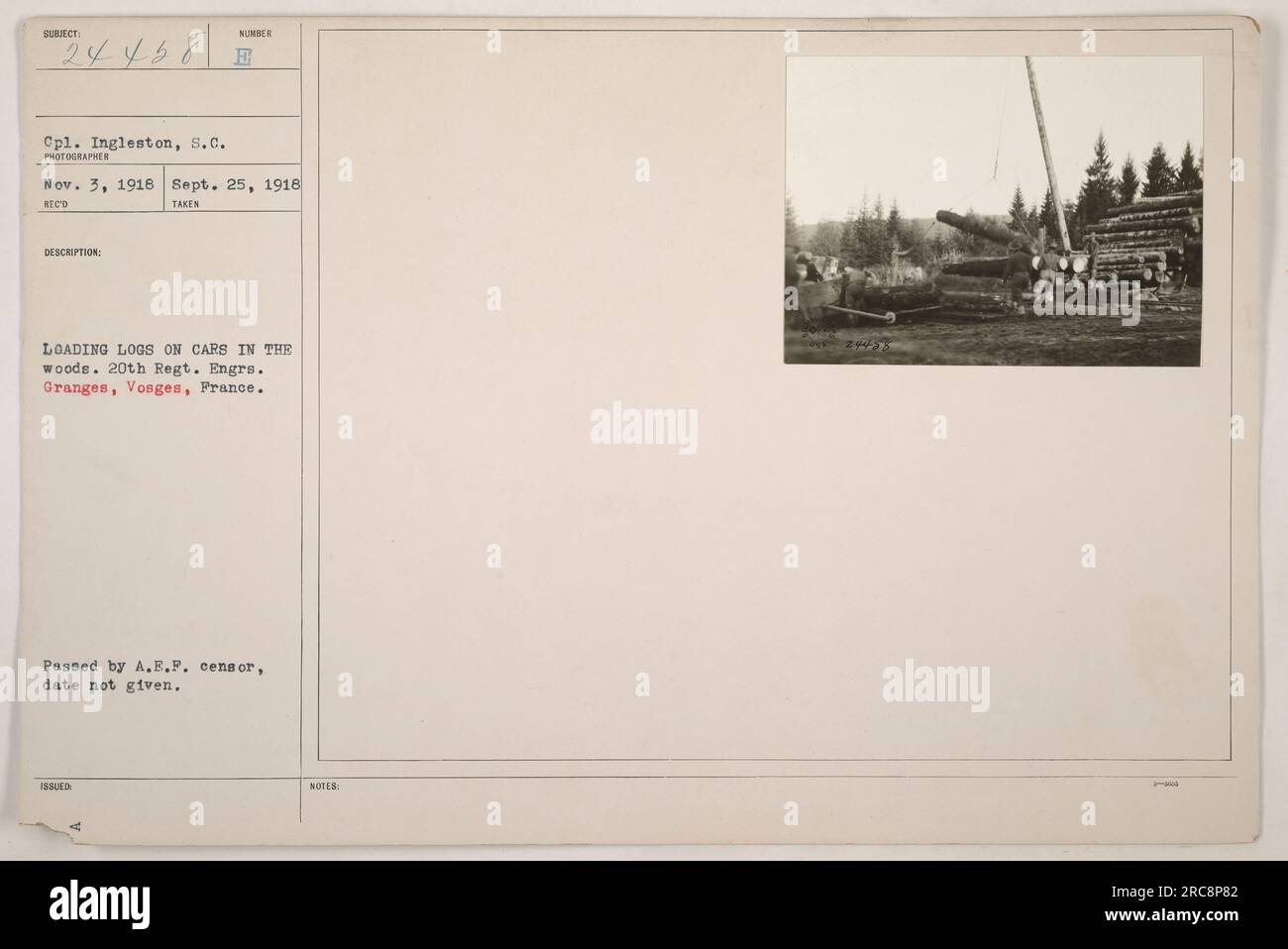 Le caporal Ingleston, du 20e Régiment de Génie, est vu sur la photographie en train de charger des grumes sur des wagons dans les bois pendant la première Guerre mondiale. L'emplacement est indiqué comme Granges, Vosges, France. La photo a été prise le 25 septembre 1918 par un photographe non identifié. Il a été approuvé par le censeur de l'A.E.F. mais la date de l'approbation n'est pas connue. Banque D'Images