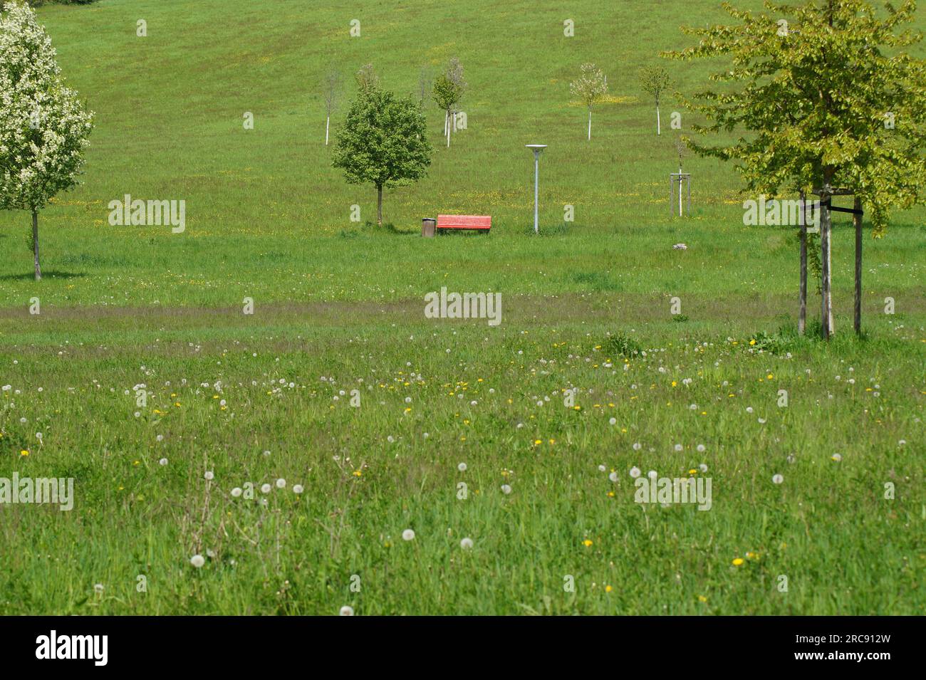 Paysage vallonné avec prairie et banc rouge Banque D'Images