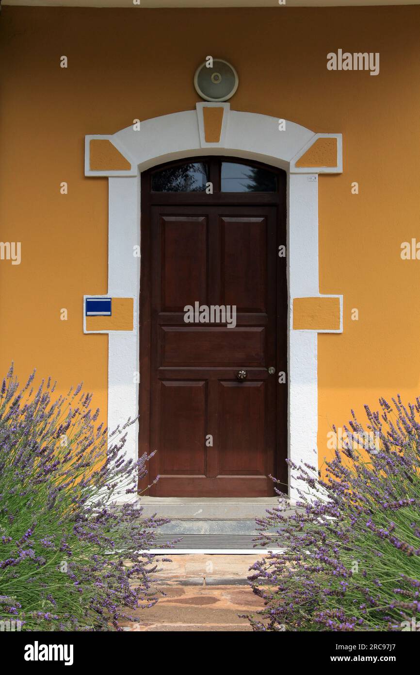 Porte d'entrée d'une maison jaune et lavandes fleuries en face de la maison. Banque D'Images