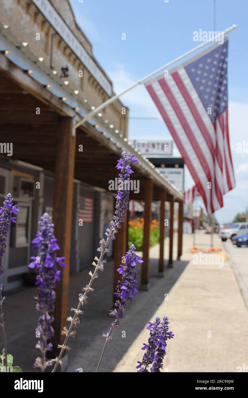 Gros plan de Purple Flowers Growing dans le centre-ville historique de Granger TX Banque D'Images