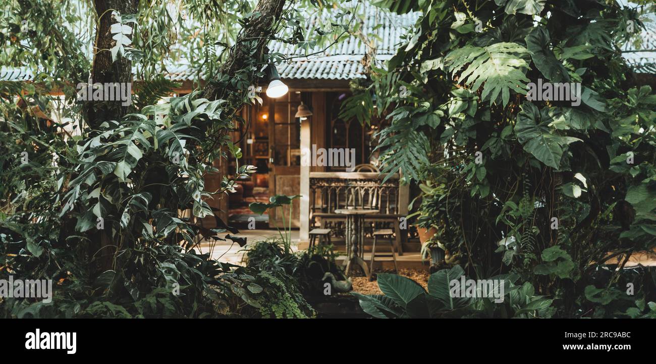 petit chalet en bois caché dans la forêt verte tropicale sauvage profonde vintage large pour vivre dans le concept de bannière de la nature Banque D'Images