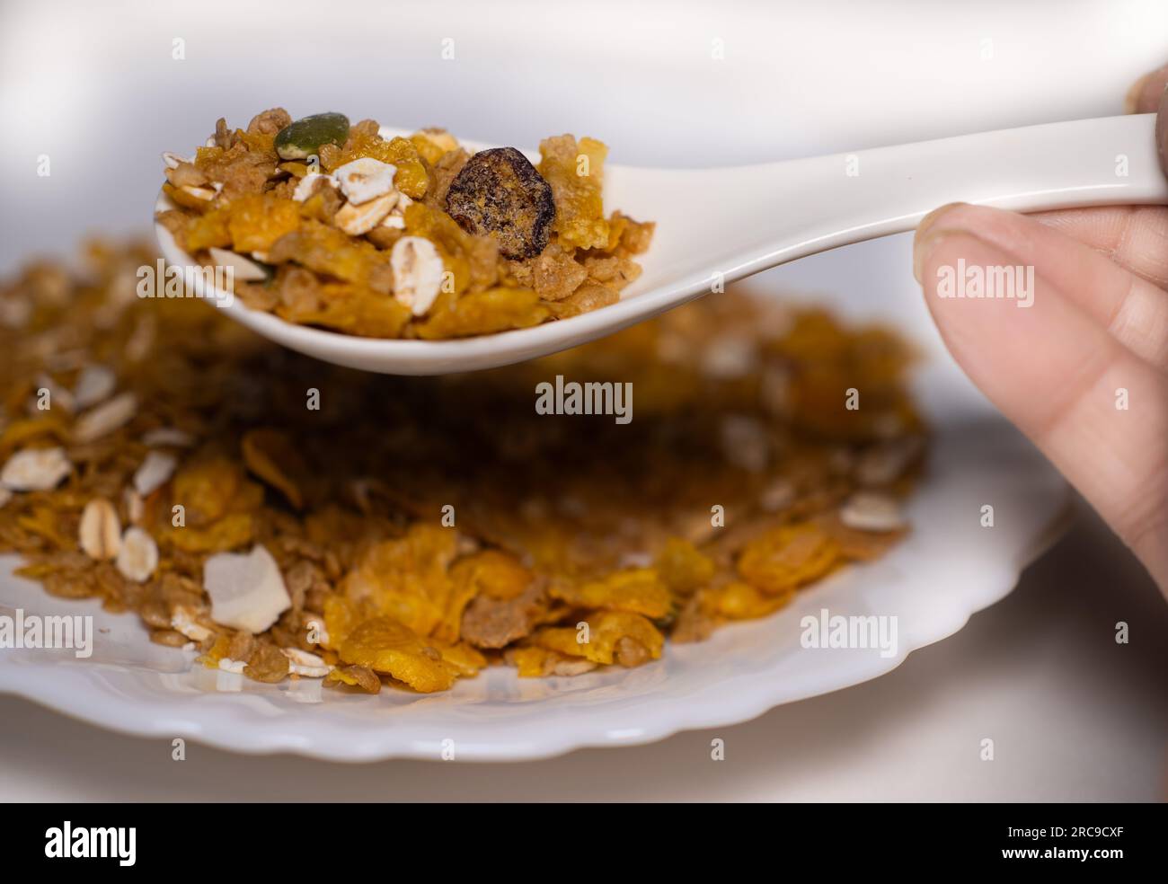 Gros plan de cuillerée de fruits secs de muesli, noix, avoine et graines Banque D'Images