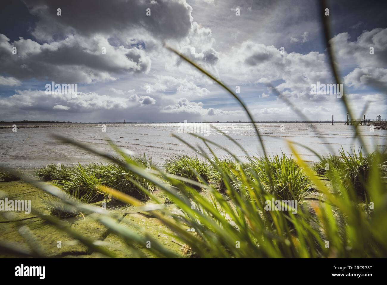 Aprilwetter am Ufer der Elbe BEI Kollmar (Kreis Steinburg) Banque D'Images