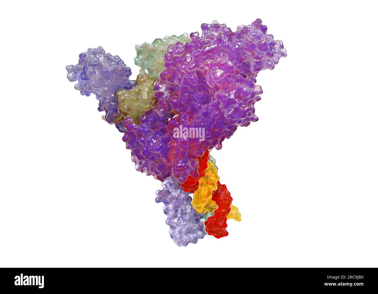 Illustration von coronavirus (SARS-COV-2) polymérase als gläsernes Oberflächenmodell mit angedeuteten, tieferliegenden Bändermodell auf weißem Hinterg Banque D'Images