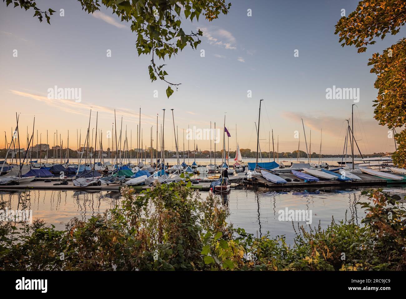 Sonniger Oktoberabend an der Hamburger Außenalster. Zahlreiche Segelboote liegen an einem Bootssteg Banque D'Images