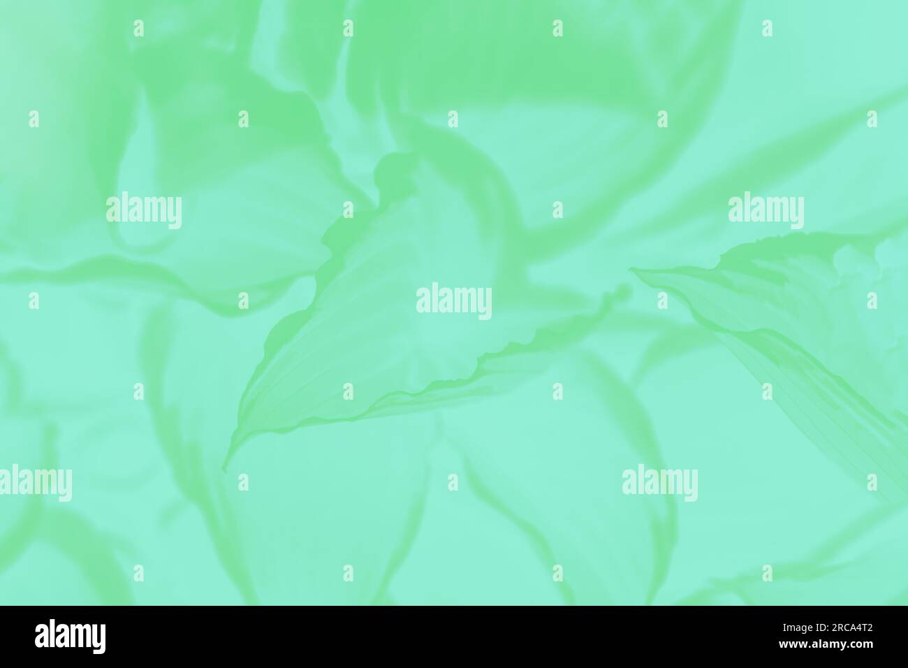 Fond vert abstrait avec motif de feuille dans les tons de vert Banque D'Images