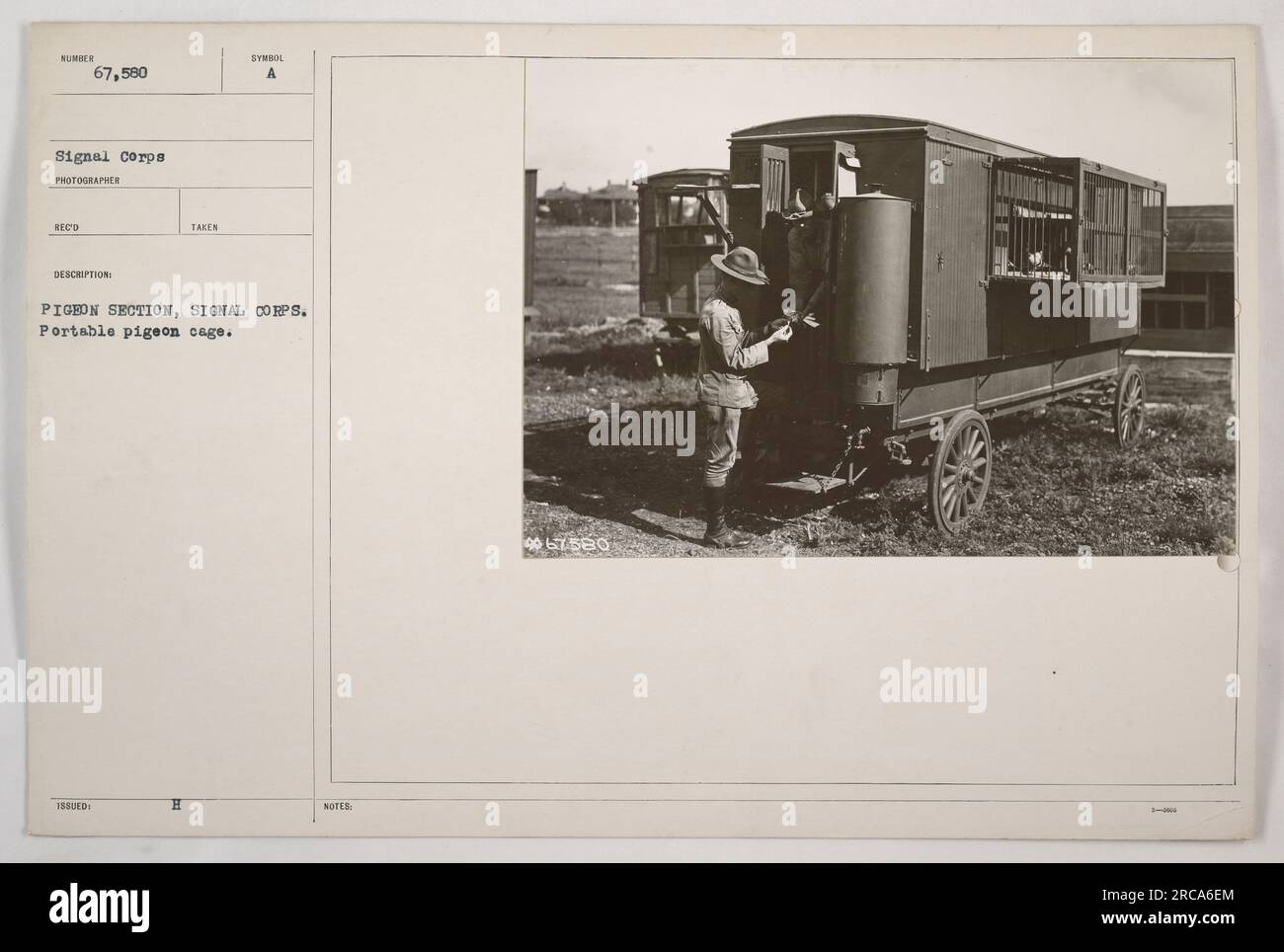 Image d'une cage de pigeonnier portable utilisée par le signal corps pendant la première Guerre mondiale. La cage, numérotée 067580, était un outil essentiel pour communiquer des messages importants à l'aide de pigeons voyageurs. Les pigeons étaient couramment utilisés pour envoyer des informations rapidement et en toute sécurité entre les unités militaires pendant la guerre. Banque D'Images