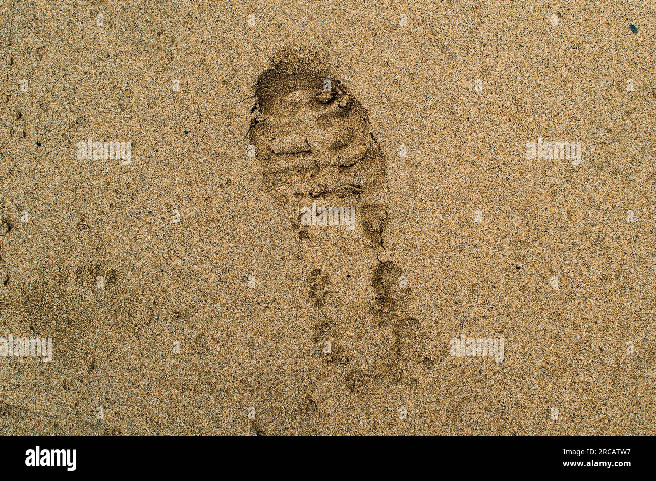 Footprint in the Sand, Cornwall, Angleterre, Royaume-Uni Banque D'Images