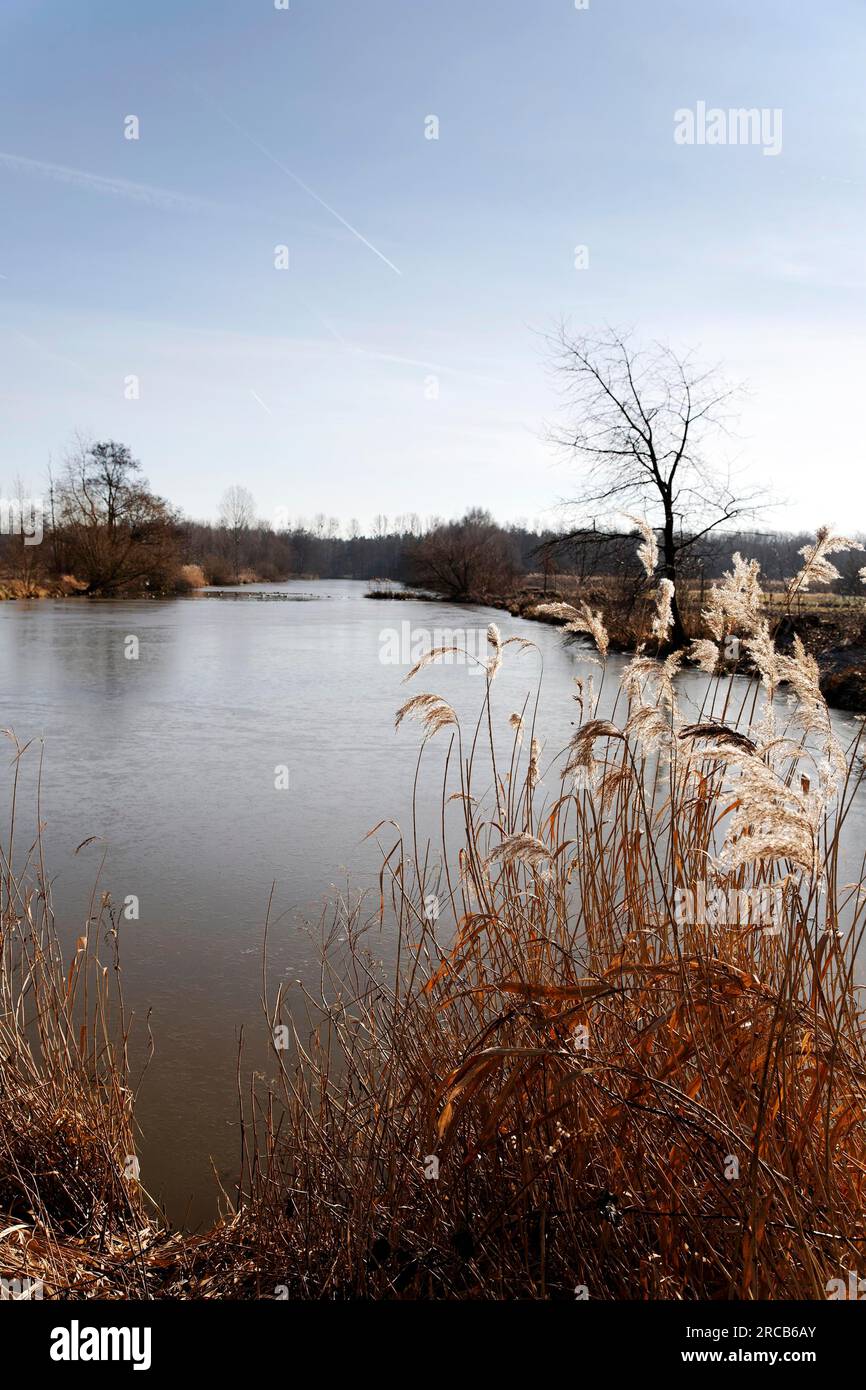 L'hiver à l'étang de pêche Banque D'Images