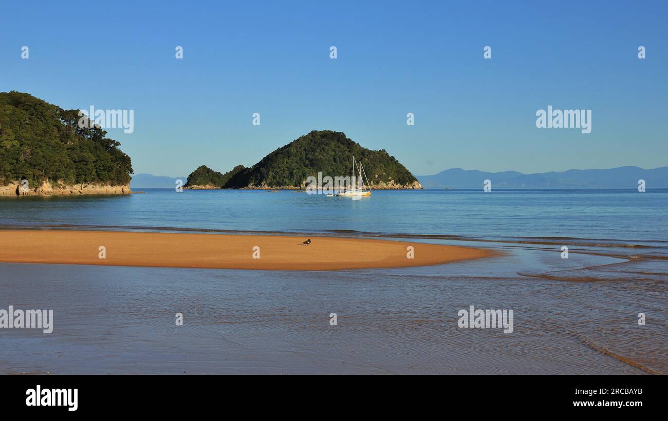 Scène dans le parc national Abel Tasman, Nouvelle-Zélande. Baie d'Onetahuti et île de Tonga. Plage de sable Banque D'Images