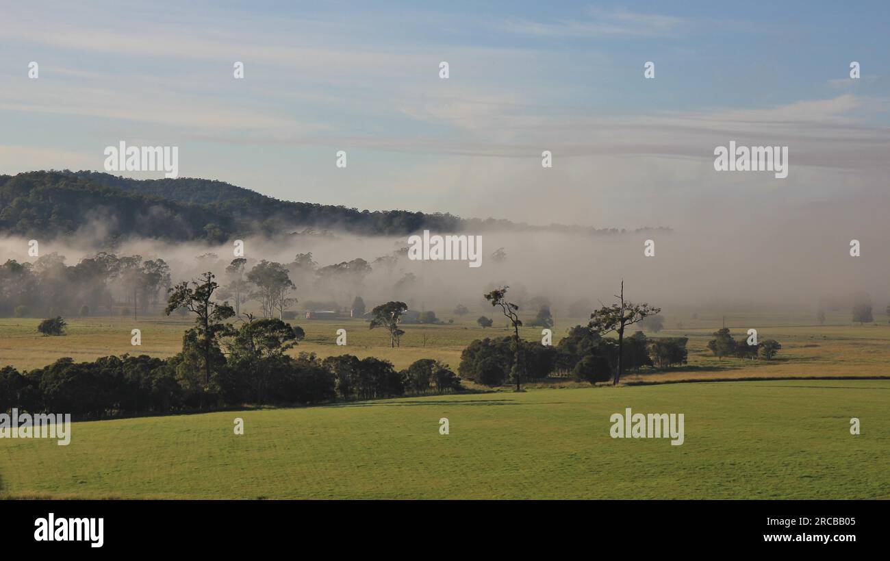 Scène d'automne près de Wauchope, Nouvelle-Galles du Sud. Brouillard matinal sur le paysage rural Banque D'Images