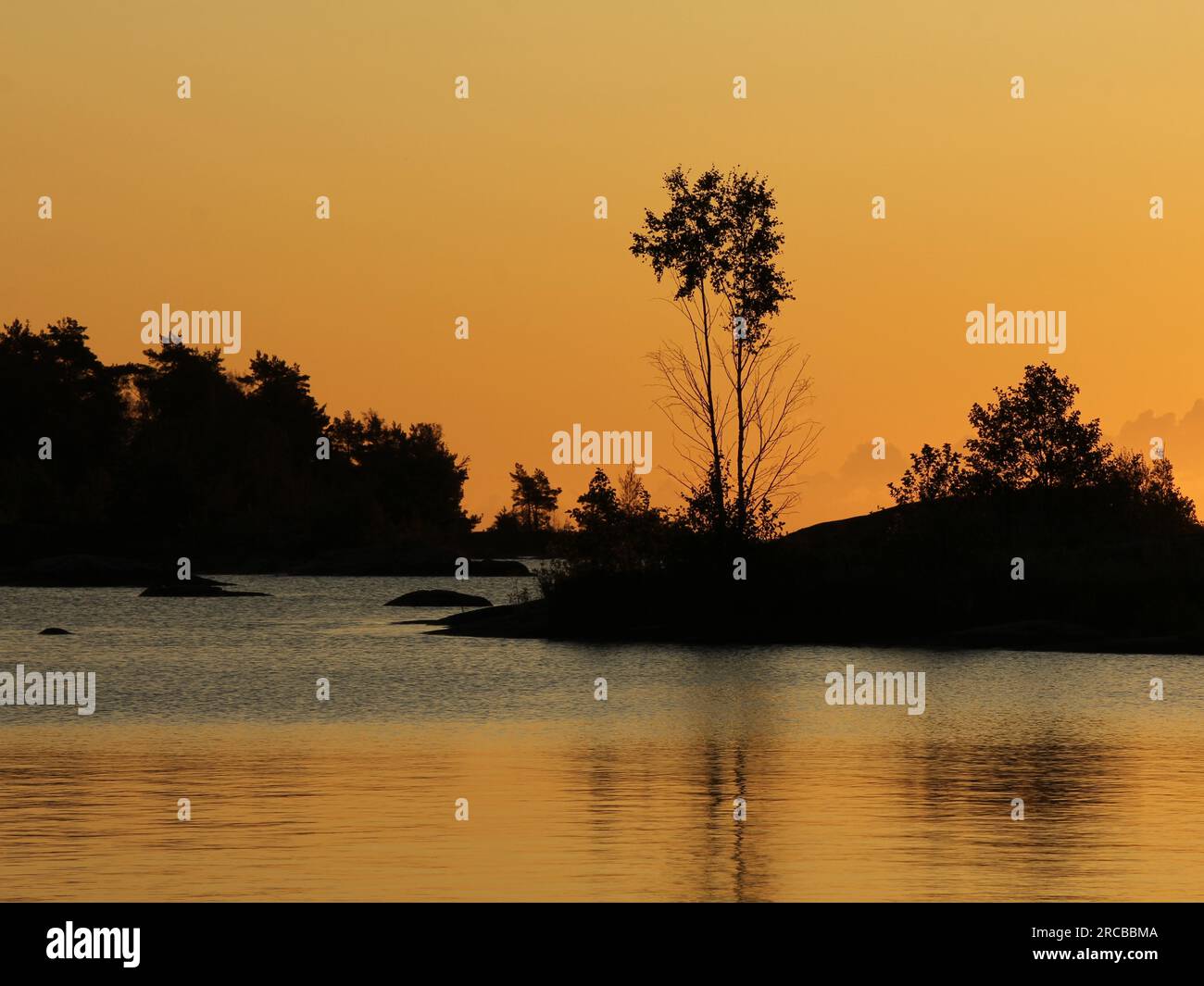Contours d'un arbre sur une petite île sur le lac Vanern. Ciel matinal doré. Scène du lever du soleil à Dalsland, Suède Banque D'Images Contours d'un arbre sur une petite île sur le lac Vanern. Ciel matinal doré. Scène du lever du soleil à Dalsland, Suède Banque D'Images