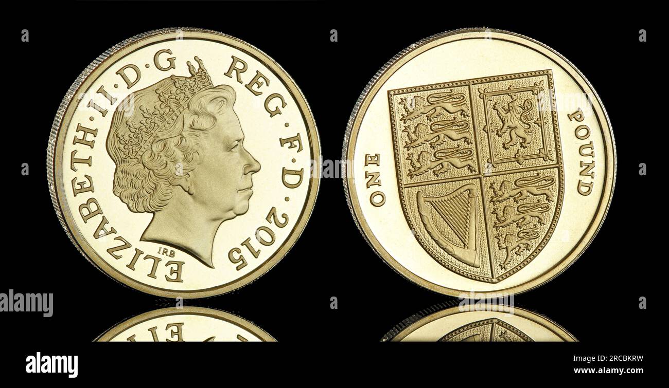 2015 pièce d'une livre avec le dessin du bouclier et le 4e portrait de la reine Elizabeth II sur l'avers par Ian Rank Broadley Banque D'Images