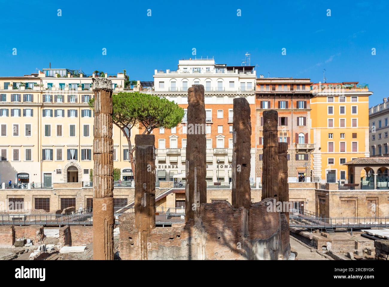 Rome, Latium, Italie, Largo di Torre Argentina est une place de Rome, en Italie, avec quatre temples républicains romains et les vestiges du Théâtre de Pompée. Banque D'Images