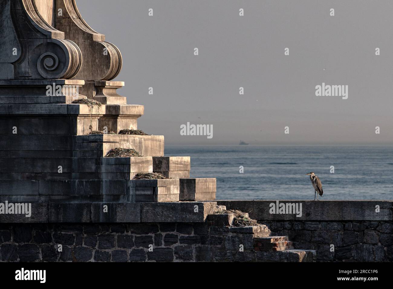 Istanbul, Turquie. 13 juillet 2023. Un héron gris (Ardea cinerea) vu debout sur le brise-lames sur la plage pendant le temps chaud à Kadikoy. (Photo Onur Dogman/SOPA Images/Sipa USA) crédit : SIPA USA/Alamy Live News Banque D'Images