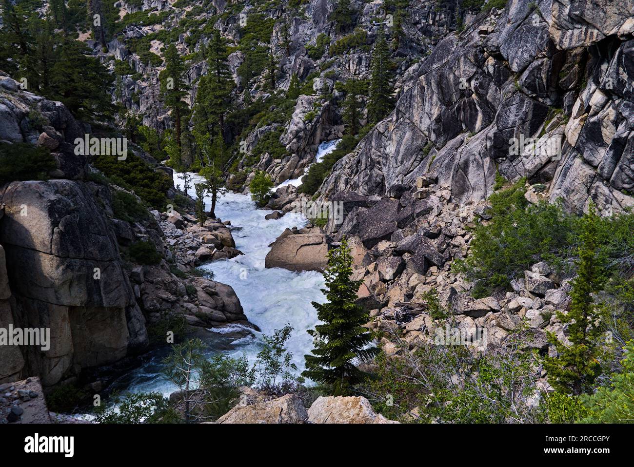 Criques avec de l'eau précipitée dans Emigrant Wilderness Banque D'Images