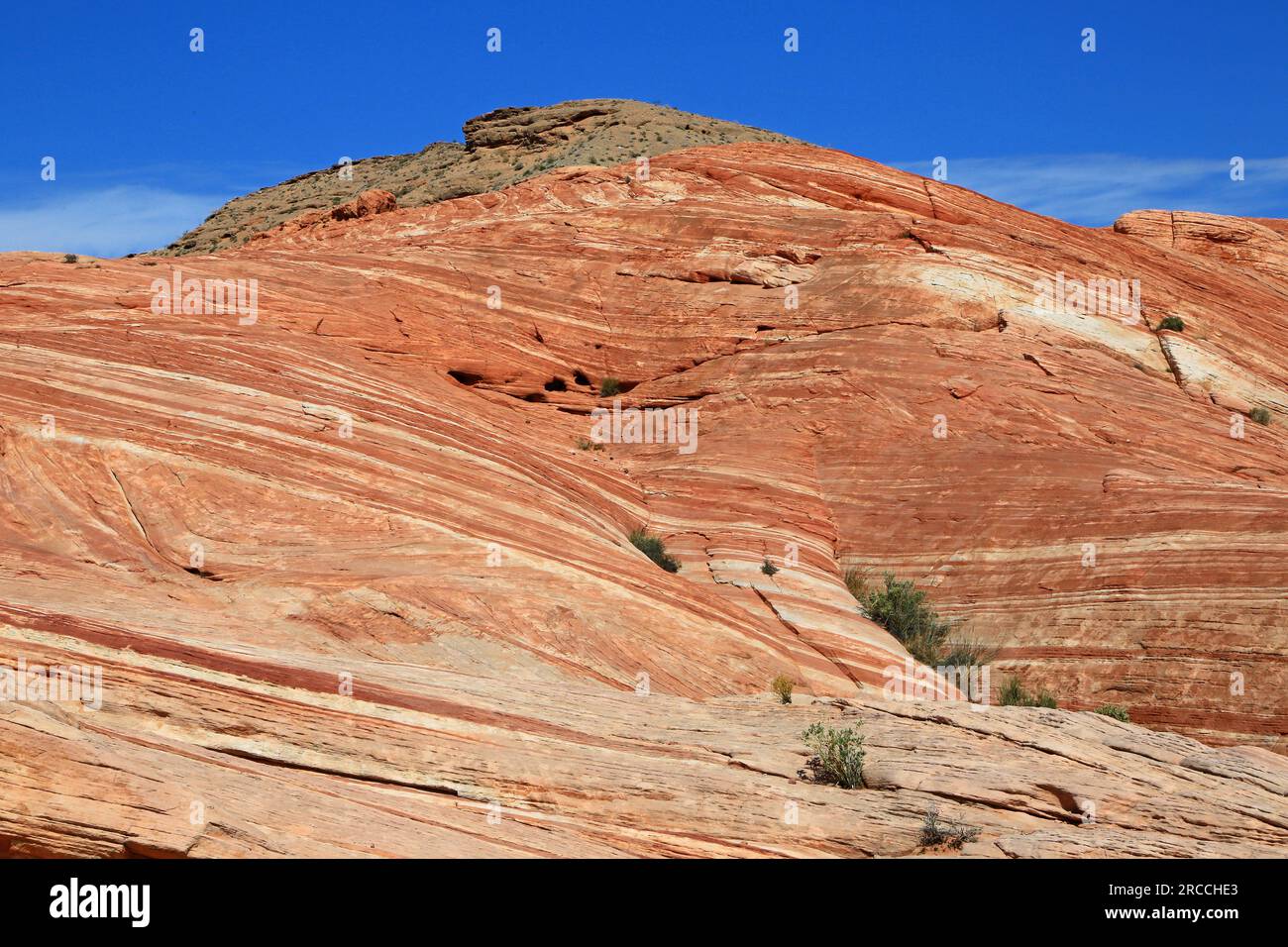 Fire Wave Hill - Valley of Fire State Park, Nevada Banque D'Images