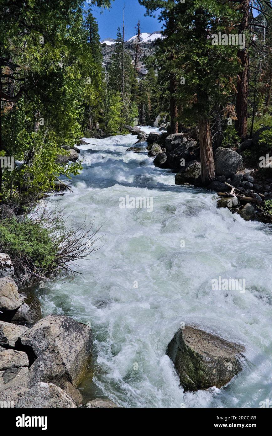 Criques avec de l'eau précipitée dans Emigrant Wilderness Banque D'Images