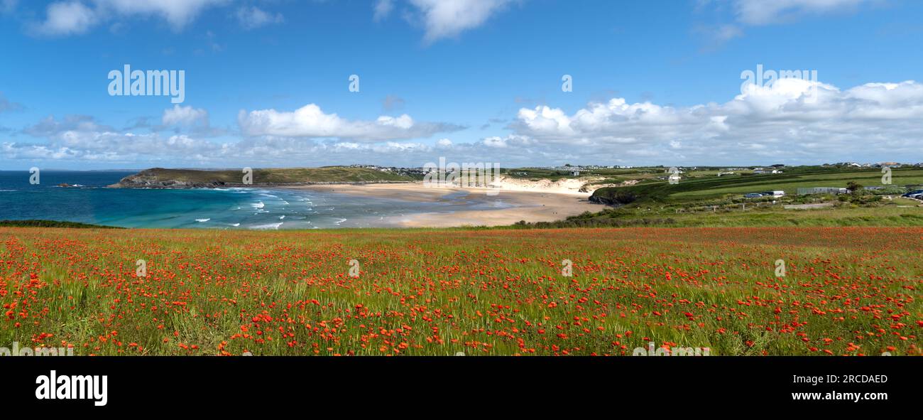 Paysage pittoresque panorama des coquelicots de West Pentire au-dessus de Crantock Beach en Cornouailles qui sont une attraction touristique populaire Banque D'Images