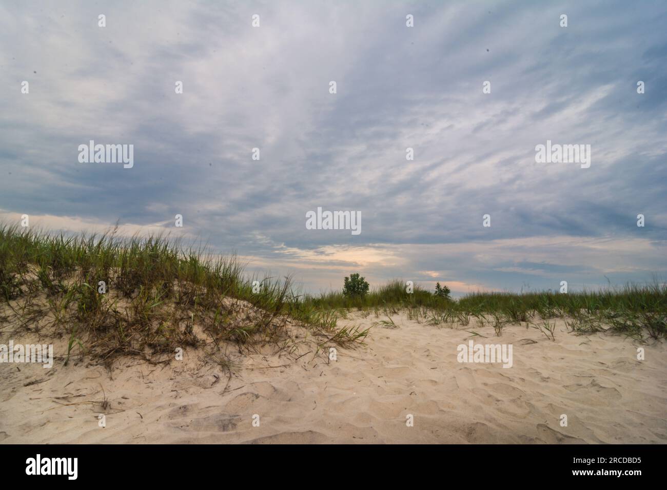 Dunes de sable à Assateague Beach en Virginie. Banque D'Images