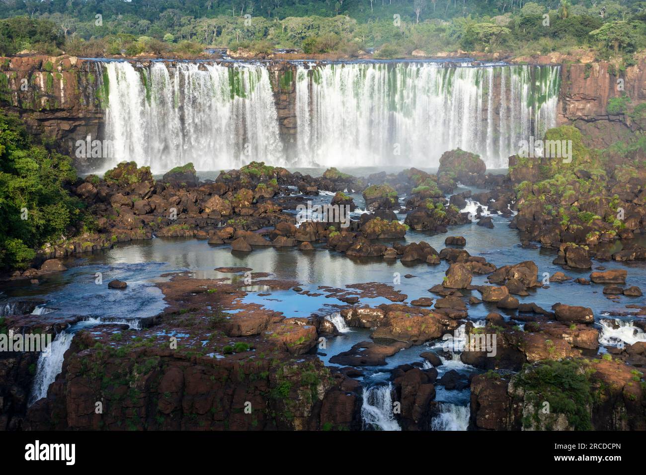 Belle vue sur les cascades de la forêt tropicale atlantique dans le parc Iguassu Banque D'Images