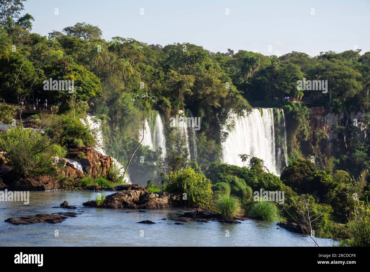 Belle vue sur les cascades de la forêt tropicale atlantique dans le parc Iguassu Banque D'Images