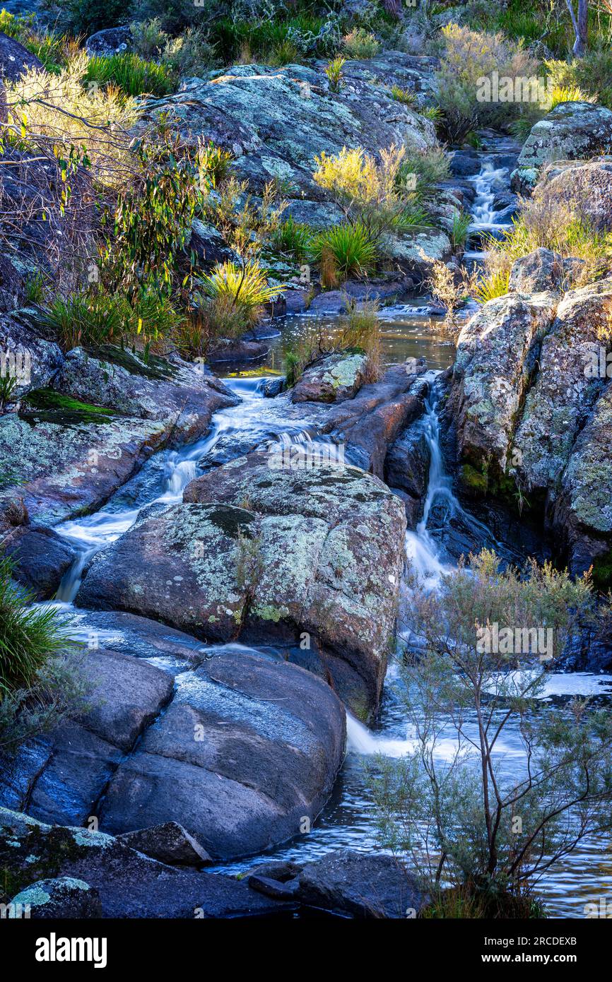 Petites cascades au-dessus des rochers de granit, Glen Elgin Creek, New England Tablelands, Nouvelle-Angleterre Australie Banque D'Images