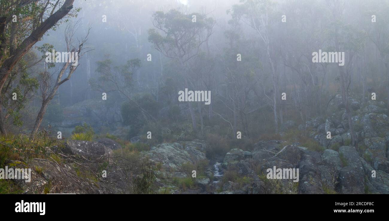 Petite cascade entourée de brouillard, Glen Elgin Creek, New England Tablelands, Nouvelle-Angleterre Australie Banque D'Images