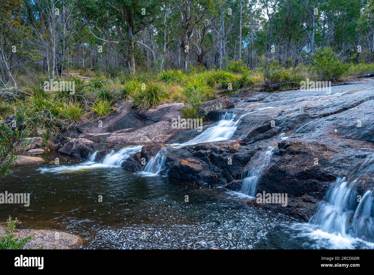 Little basket Swamp Waterfall, basket Swamp National Park, New England Tablelands, Nouvelle-Angleterre Australie Banque D'Images