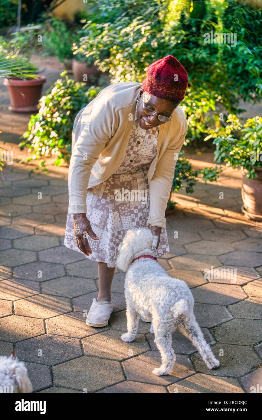 vieille dame africaine à la retraite jouant avec son chien maltais bien-aimé dans le jardin d'arrière-cour Banque D'Images
