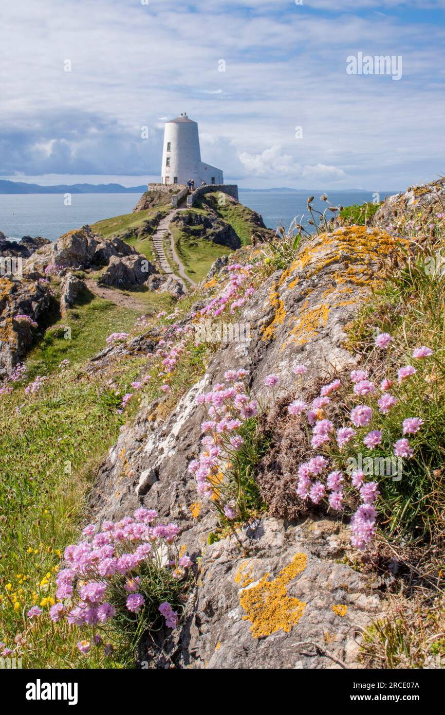 Tŵr Phare de Mawr sur l'île de Llanddwyn, Newborough Warren and Ynys Llanddwyn National nature Reserve, Anglesey, pays de Galles du Nord, Royaume-Uni Banque D'Images