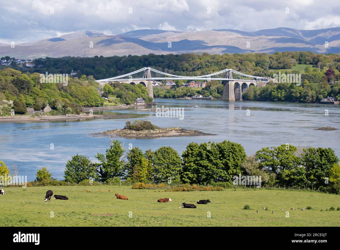 Pont suspendu de Menai traversant le détroit de Menai depuis l'île d'Anglesey et le continent du pays de Galles. nord-ouest du pays de Galles. ROYAUME-UNI Banque D'Images