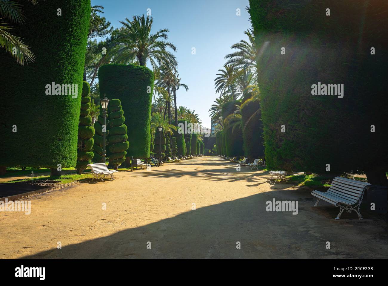 Parc génois (Parque Genoves) - Cadix, Andalousie, Espagne Banque D'Images