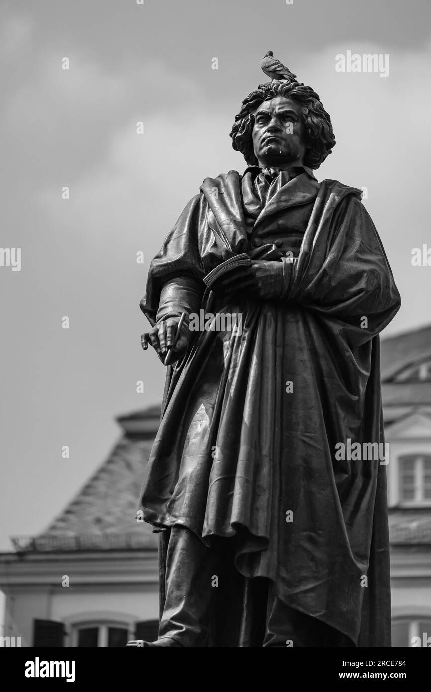 Bonn, Allemagne - 22 mai 2023 : vue de la statue de Ludwig van Beethoven et d'un pigeon au-dessus à Bonn, Allemagne, en noir et blanc Banque D'Images