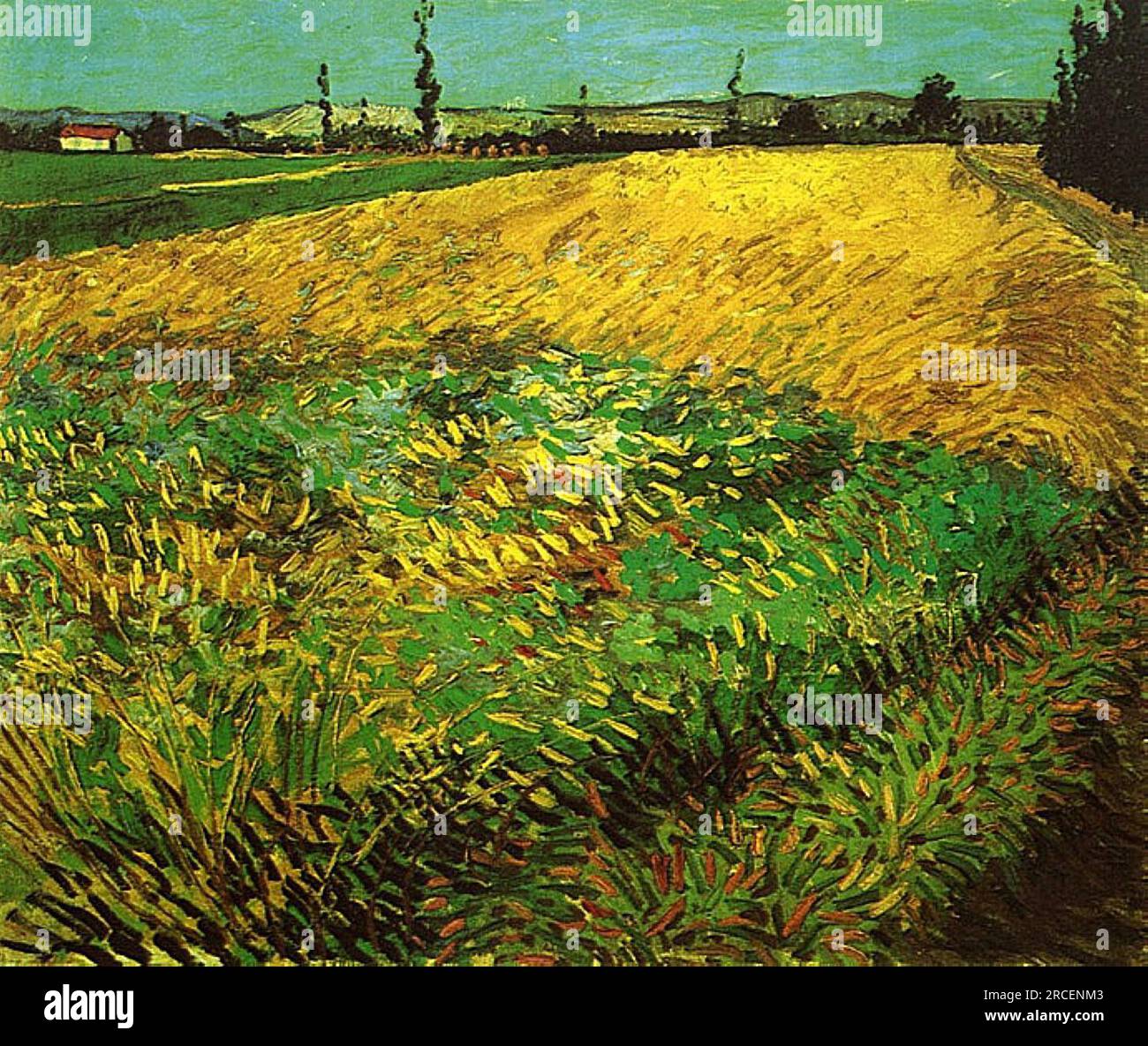 Champ de blé avec les contreforts des Alpilles en arrière-plan 1888 ; Arles, Bouches-du-Rhône, France par Vincent van Gogh Banque D'Images