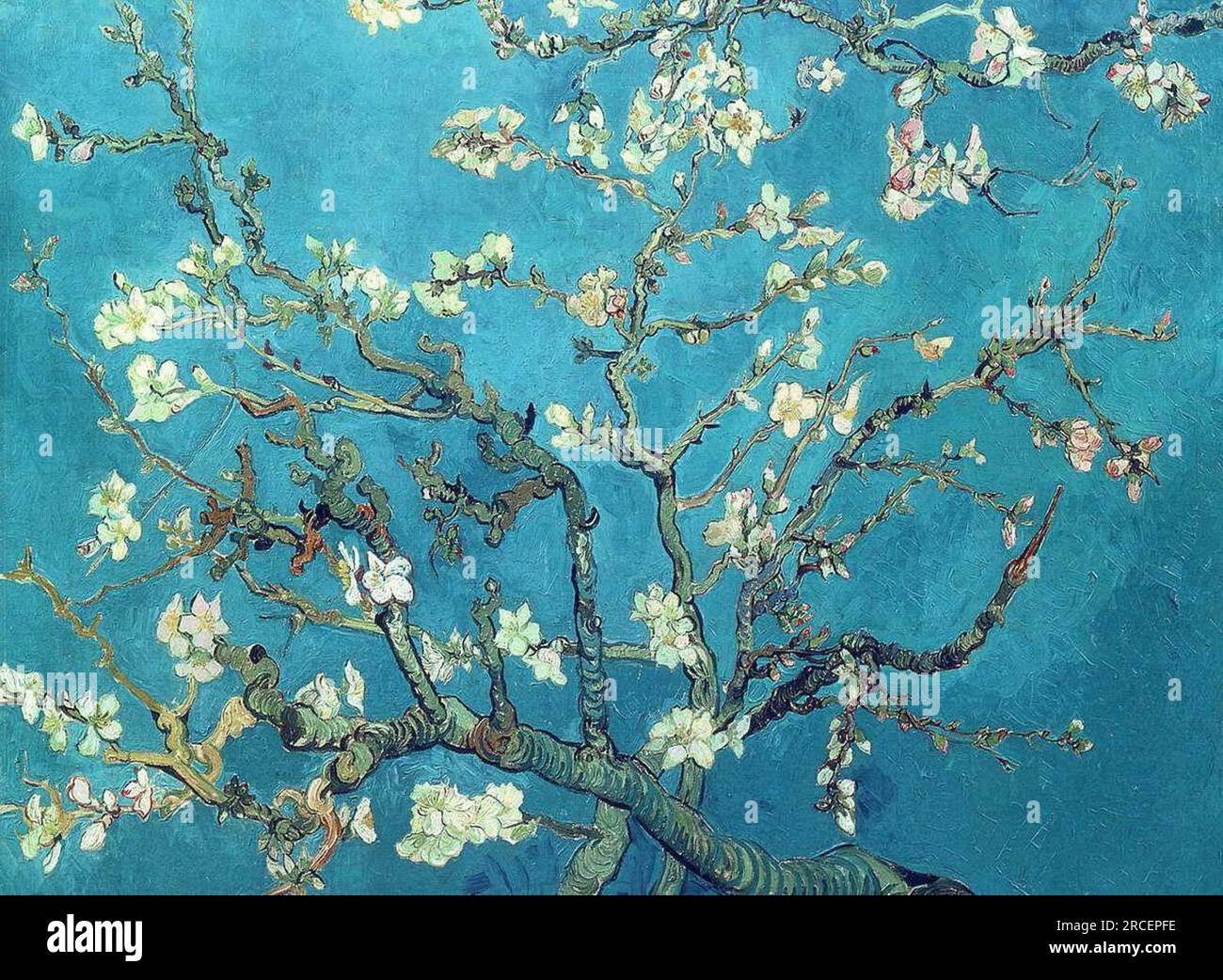 Succursales avec Almond Blossom 1890 ; Auvers-sur-oise, France de Vincent van Gogh Banque D'Images