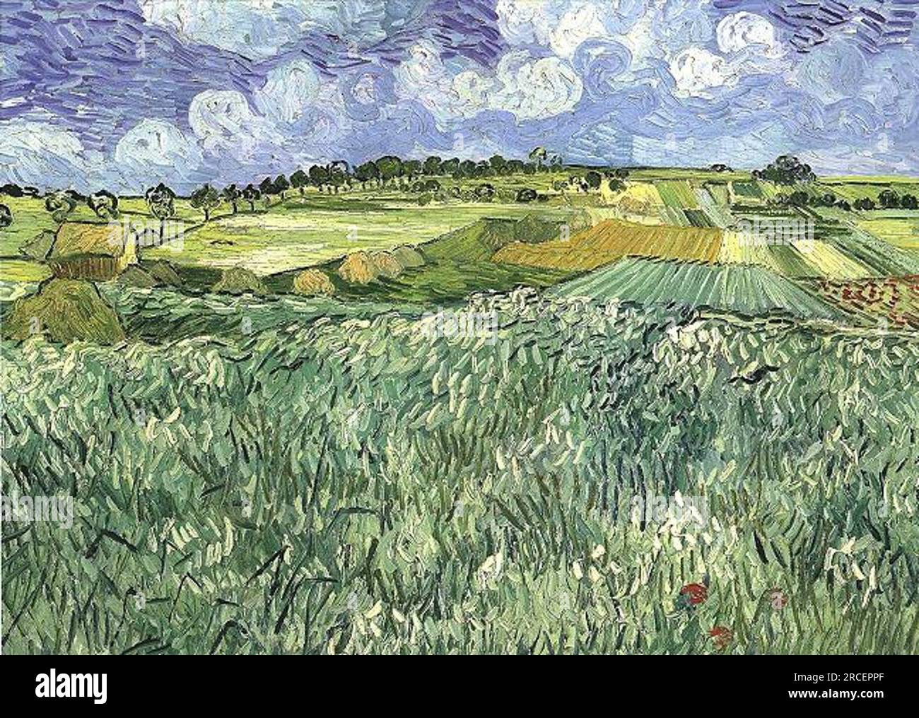 Plaine près d'Auvers 1890 ; Auvers-sur-oise, France de Vincent van Gogh Banque D'Images