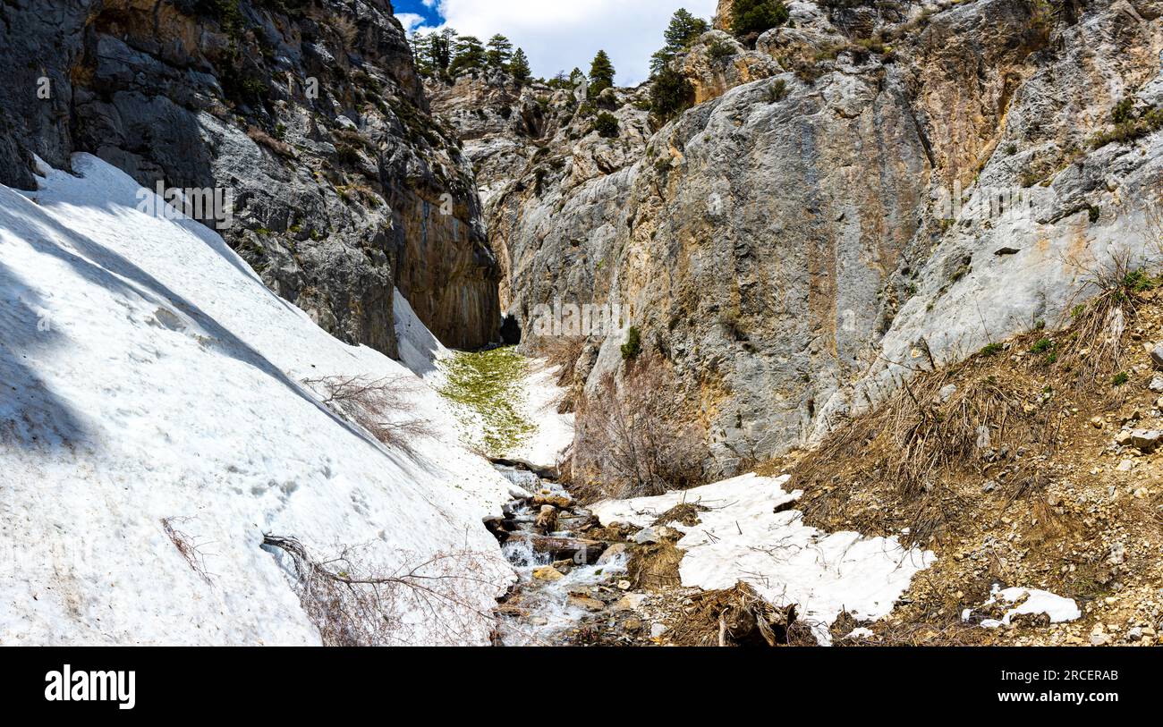 Little Falls enneigé, Spring Mountains, espace de loisirs national, Nevada, États-Unis Banque D'Images