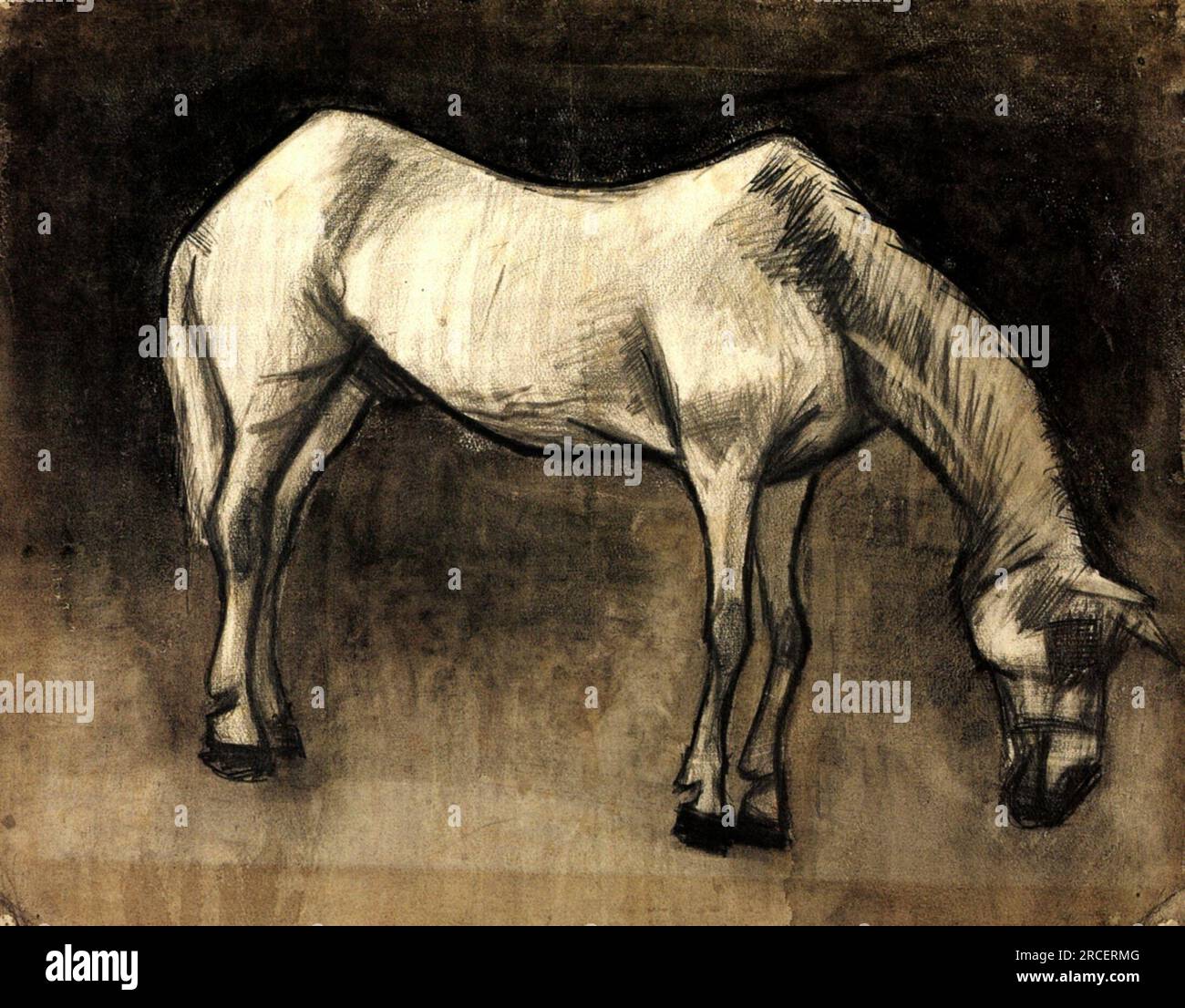 Old Nag 1883 ; Haag / Den Haag / la Haye / la Haye, pays-Bas de Vincent van Gogh Banque D'Images