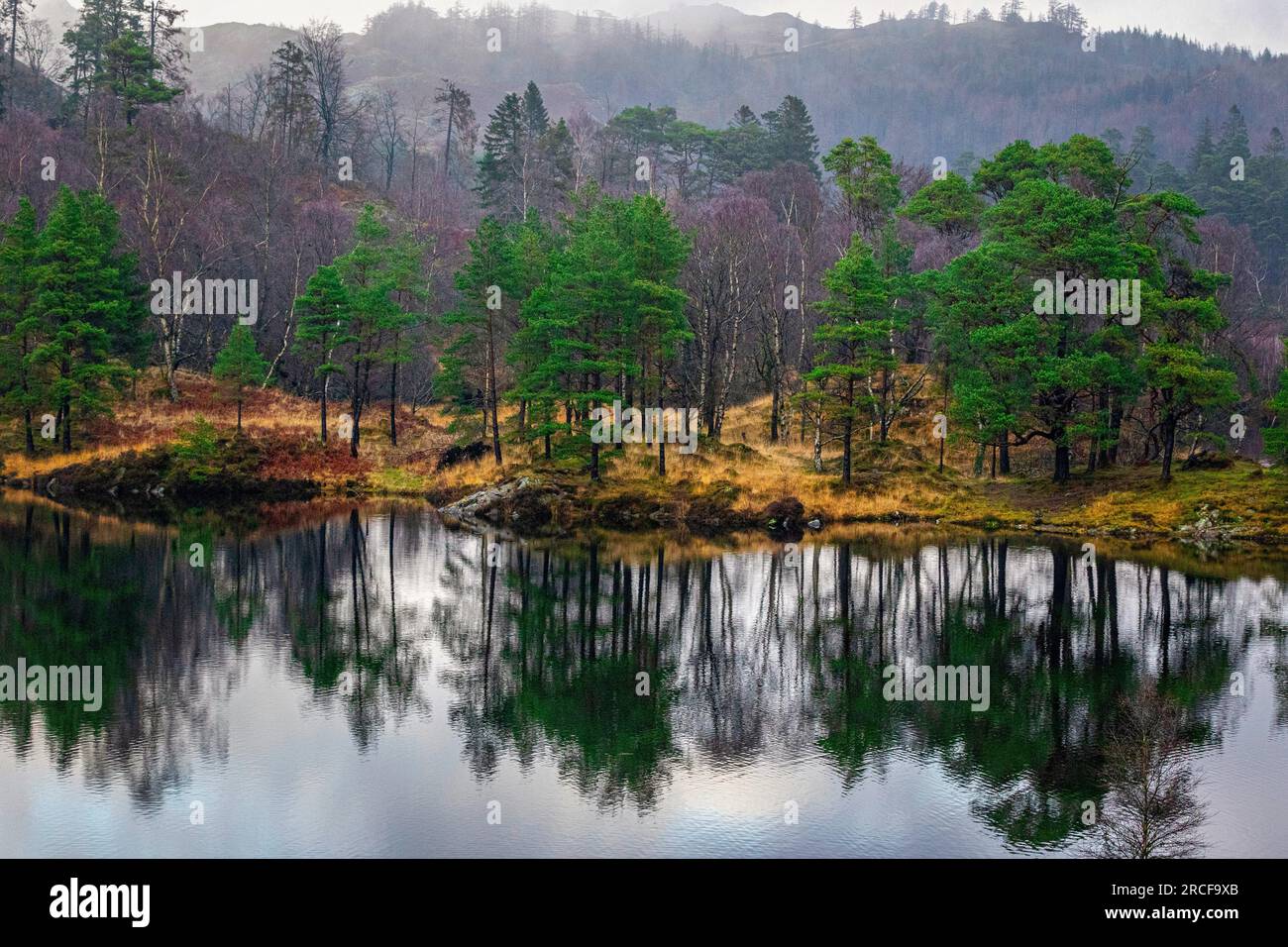Photo de paysage pittoresque de la nature dans Lake District Banque D'Images