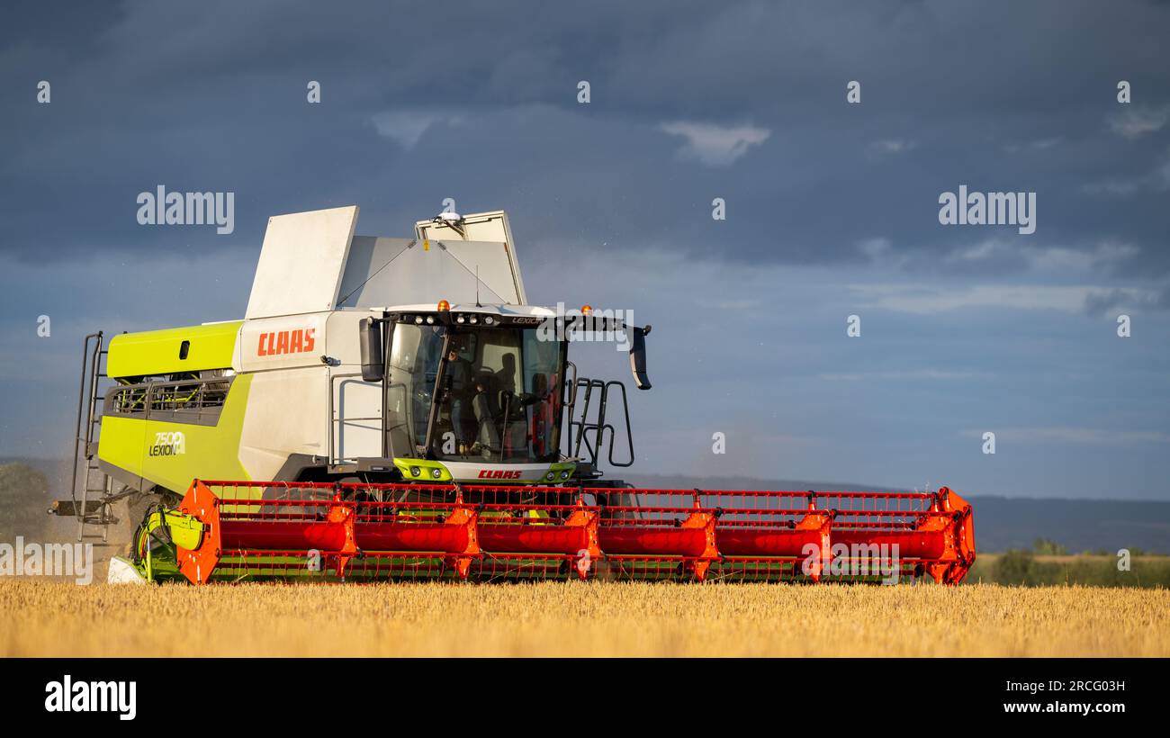 Récolte de l'orge d'hiver avec une moissonneuse-batteuse Claas Lexicon 7500 lors d'une soirée estivale orageuse, Ripon, North Yorkshire, Royaume-Uni. Banque D'Images
