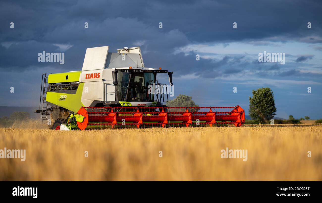 Récolte de l'orge d'hiver avec une moissonneuse-batteuse Claas Lexicon 7500 lors d'une soirée estivale orageuse, Ripon, North Yorkshire, Royaume-Uni. Banque D'Images