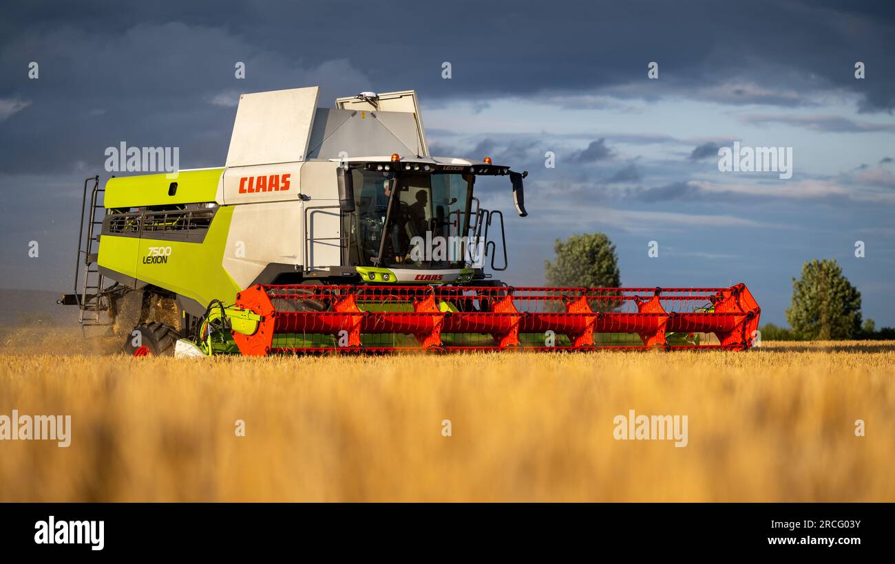 Récolte de l'orge d'hiver avec une moissonneuse-batteuse Claas Lexicon 7500 lors d'une soirée estivale orageuse, Ripon, North Yorkshire, Royaume-Uni. Banque D'Images