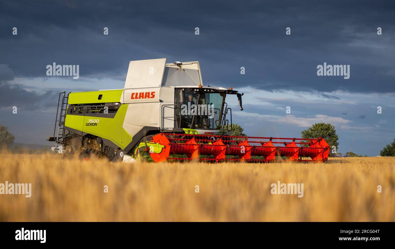 Récolte de l'orge d'hiver avec une moissonneuse-batteuse Claas Lexicon 7500 lors d'une soirée estivale orageuse, Ripon, North Yorkshire, Royaume-Uni. Banque D'Images